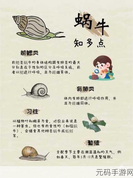 探秘最强蜗牛器官强化的神秘规则