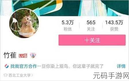 夜里100大禁用b站a:1. 夜晚不眠:揭秘100条禁用B站的真相