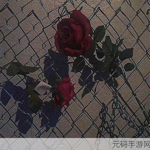探寻微丧系朋友圈背景图的神秘世界