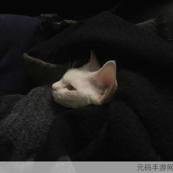 探寻微丧系朋友圈背景图的神秘世界