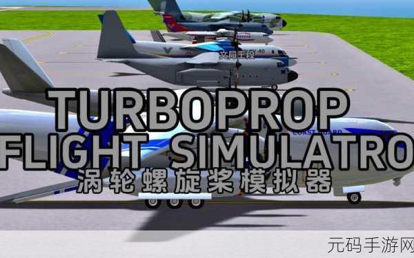 涡轮螺旋桨飞行模拟器无限金币版震撼发布,翱翔天际,尽享飞行乐趣