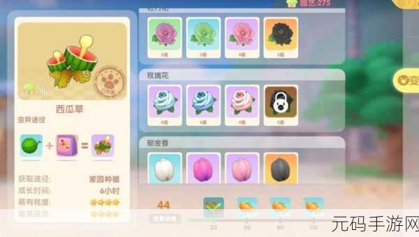 摩尔庄园手游,西瓜获取秘籍大公开