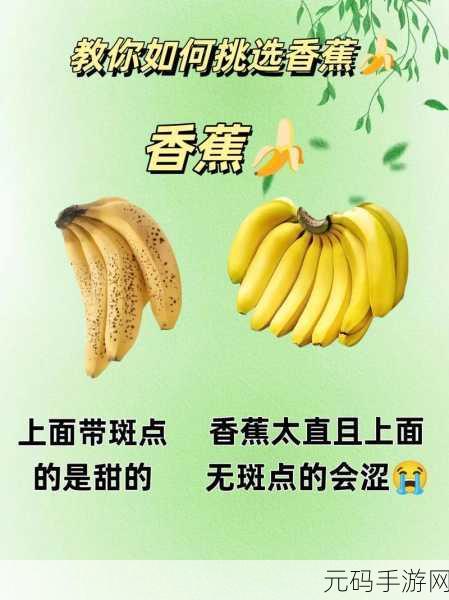 香蕉视频网站:1. 香蕉视频网站:探索视频创作的新天地