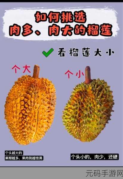 《榴莲 芭乐 草莓》最新:1. 《榴莲的甜蜜诱惑与草莓的清新碰撞