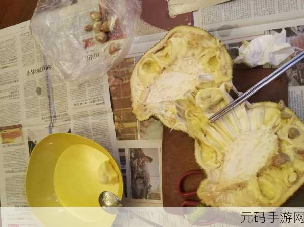 菠萝菠萝蜜视频在线观看免费:1. 菠萝菠萝蜜:甜蜜的夏日清凉体验