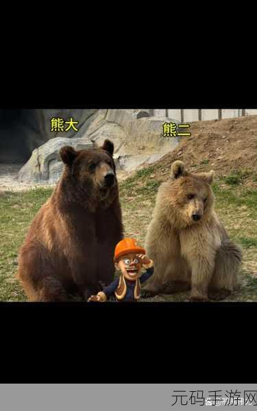 我的熊大熊二手游新版本盛大更新,虚拟宠物养成新体验等你来探索!