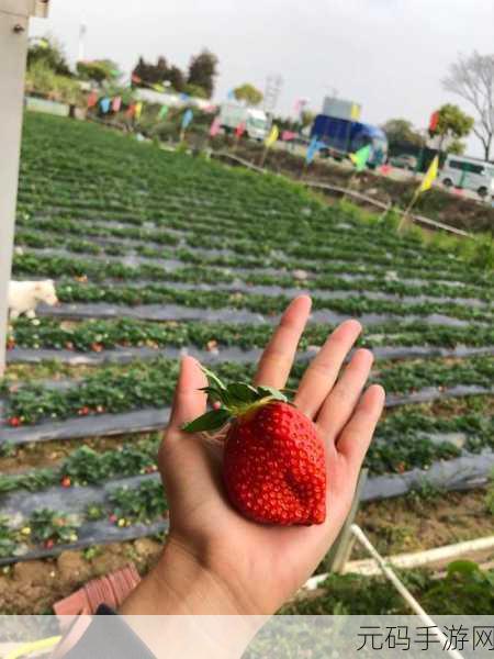 182草莓视频:1. 草莓视频:畅享精彩短视频,释放你的创意!