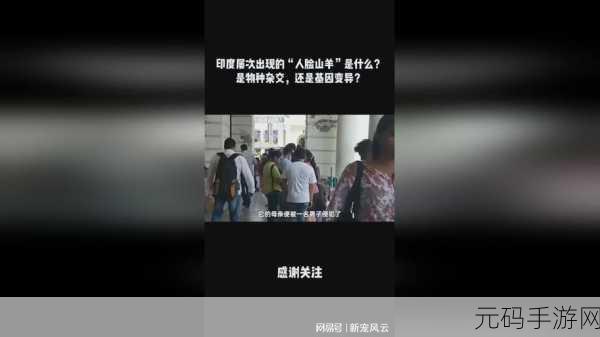 韩国三色电影2024免费吗:1. 韩国三色电影:2024年免费观看的奇幻旅程