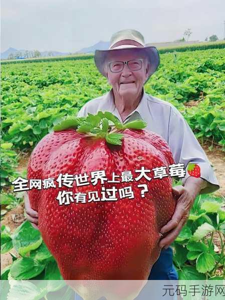 草莓视频有容乃大:1. 探索草莓视频:多元内容的魅力与无限可能
