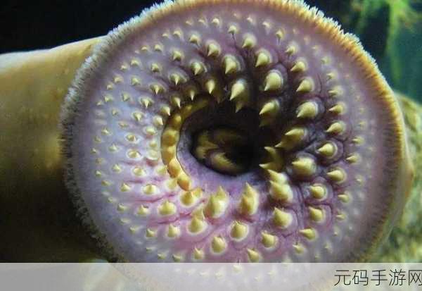 人鳗男主原型七鳃鳗:七鳃鳗的奇幻冒险:海底世界的秘密