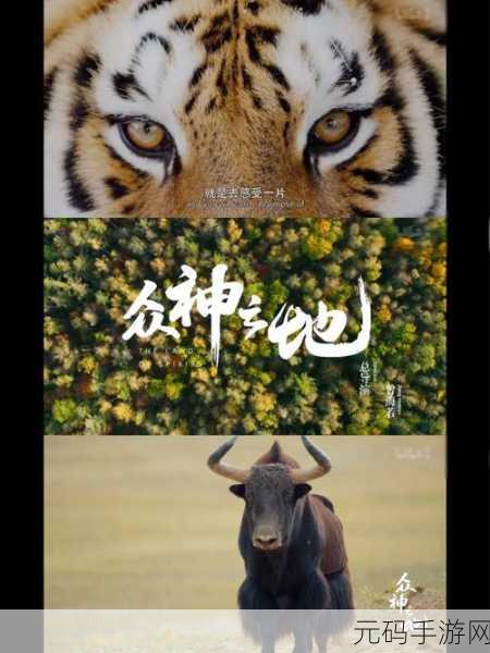 灰烬之地,众神之乱中文版震撼发布,动作冒险新纪元开启