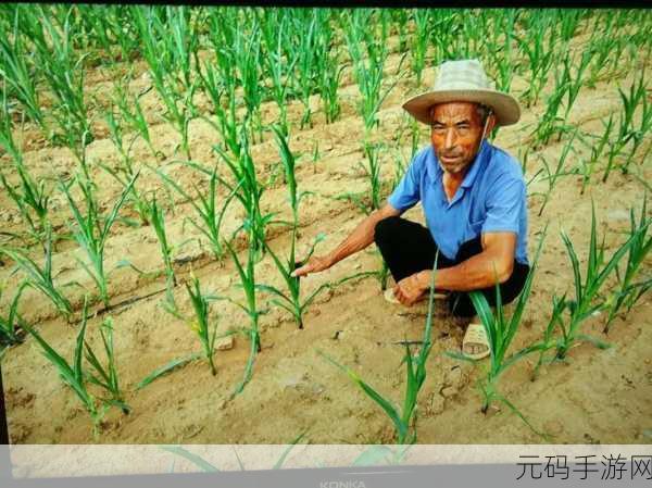 儿子开垦妈妈荒废的肥田：儿子辛勤耕耘，唤醒母亲遗忘的肥田梦