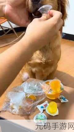 草莓视频,有容奶大:1. "挑战极限:容奶大带你探索草莓视频的新世界