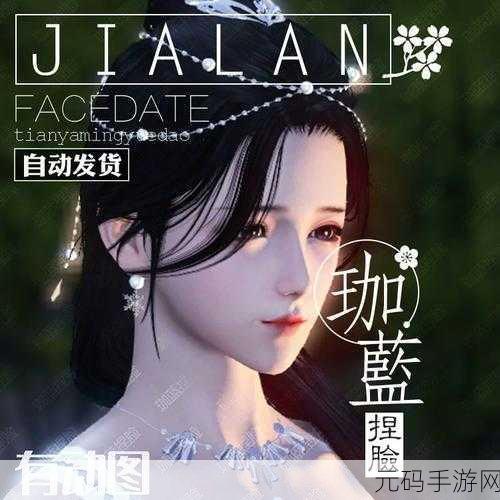 天涯明月刀捏脸数据保存秘籍大公开