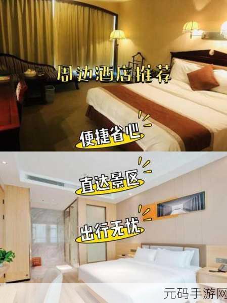 满天星《酒店服务生》:1. 《酒店服务生:温馨与专业的完美结合