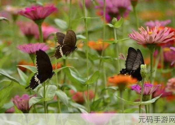 花蝴蝶视频高清在线免费在线:1. 花蝴蝶视频:探索自然之美的奇妙旅程
