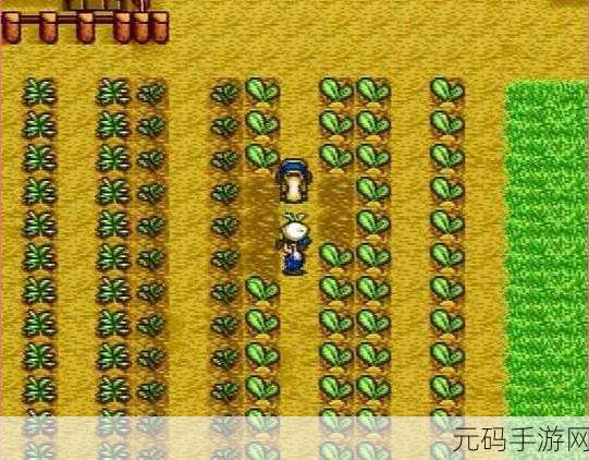 牧场物语希望之光新版本震撼发布,模拟经营新体验等你来探索