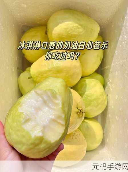 香蕉芭樂視頻www:1. 突破传统:香蕉与芭乐的奇妙结合