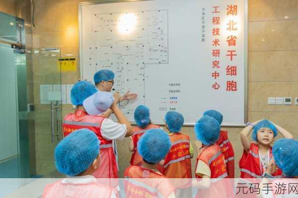 细胞进化史中文版手游震撼发布,探索生命奥秘的奇妙之旅