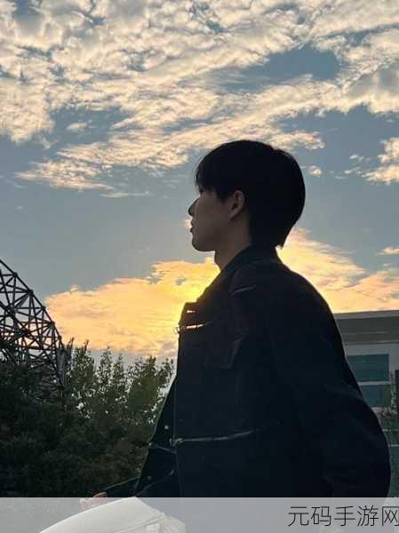 男明星的私密处为什么都是平的:1. 男明星私密处平坦之谜:背后的科学与文化解读