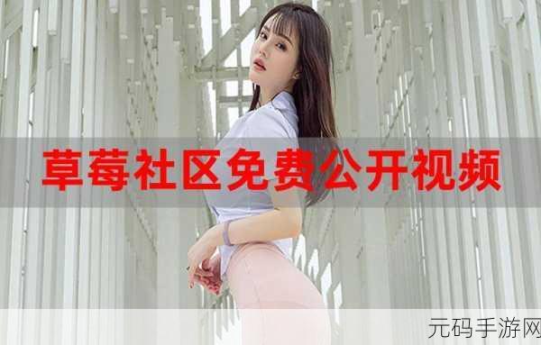 caomei.apk:1. "探秘caomei.apk:全新功能与使用体验解析