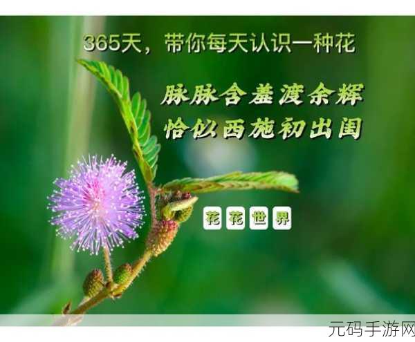 含羞草实验室隐藏路线:1. 含羞草实验室:探索隐秘路径的科学之旅