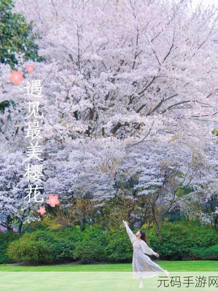 樱花少女从天花板上掉下来:1. 樱花少女逆袭:从天花板坠落的奇幻冒险