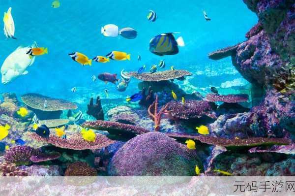 萌鱼斗海怪,全新预约下载开启,探索奇幻海底世界的冒险之旅