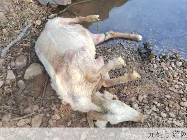 牧场ZOOMSERVO兽狗购买:1. "开启未来:ZOOMSERVO兽狗的智能养殖新体验