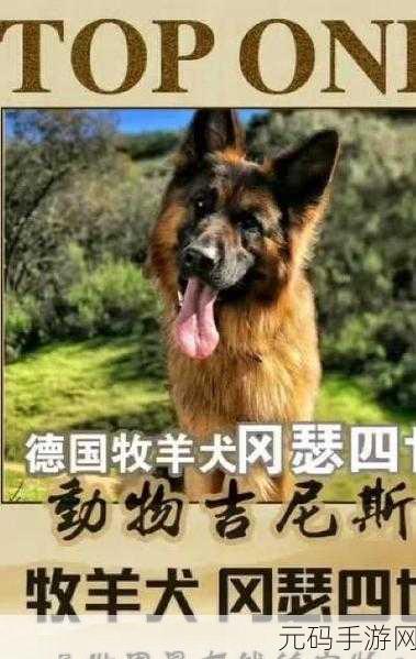 牧场ZOOMSERVO兽狗购买:1. "开启未来:ZOOMSERVO兽狗的智能养殖新体验