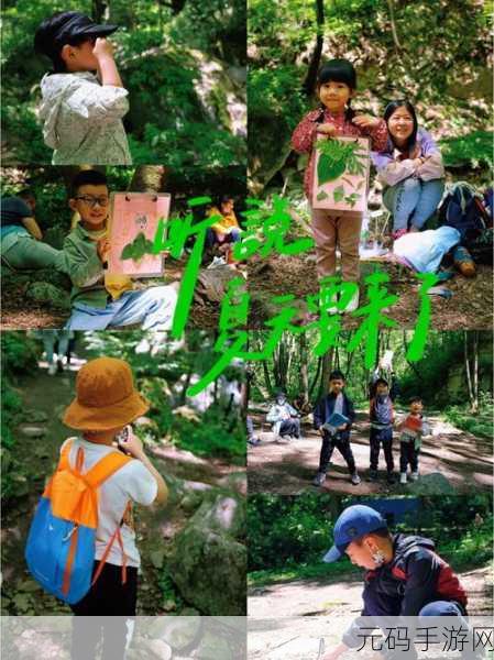 幼儿仙踪林儿童:1. 探索仙踪林:儿童的奇幻冒险之旅