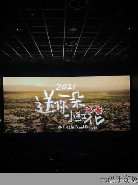 探寻发发爱我 2021,微博账号背后的秘密