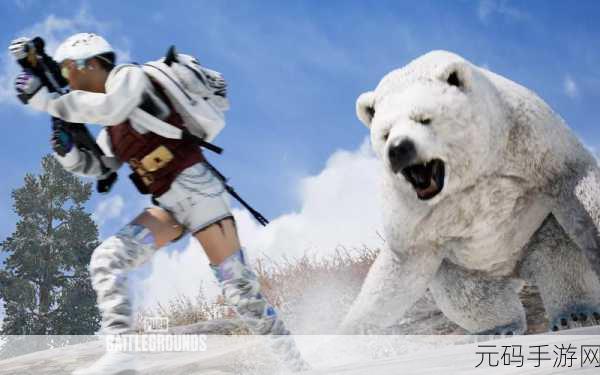 国服pubg什么时候上线：国服PUBG正式上线时间揭秘与玩家期待