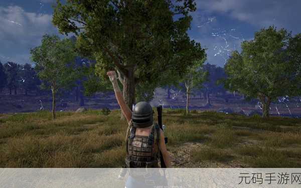 国服pubg什么时候上线：国服PUBG正式上线时间揭秘与玩家期待