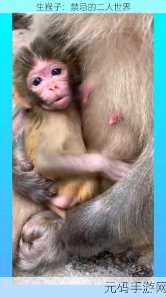 两个人在床上生猴子不盖被子怎么办：1. 如何处理情侣间的亲密关系与个人空间
