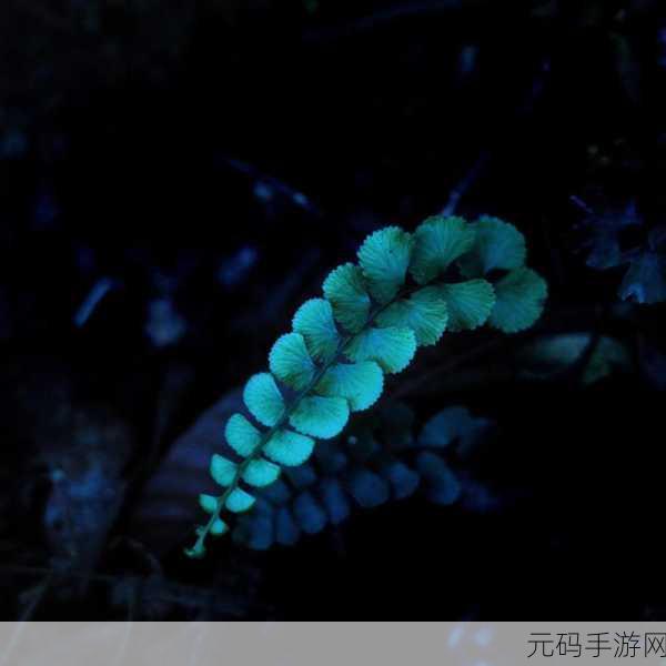 小草影视视频:1. 小草影视:探索未知世界的奇幻旅程