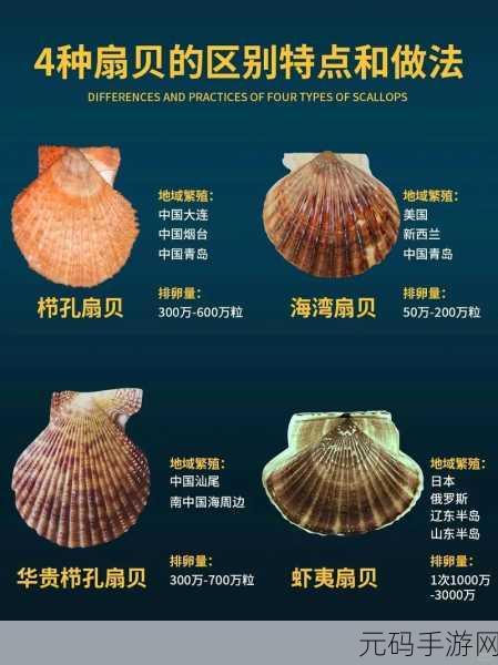 一人 上面 下感扇贝的文章:1. 探寻扇贝的秘密:一人上山下海的奇妙旅程