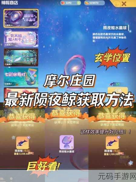 摩尔庄园手游,渔网使用秘籍大公开