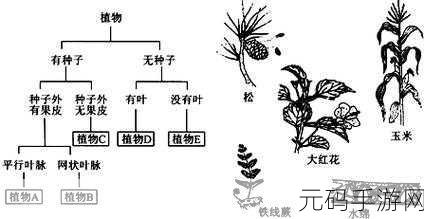 简pv:当然可以!以下是根据“简pv”拓展出的10个新