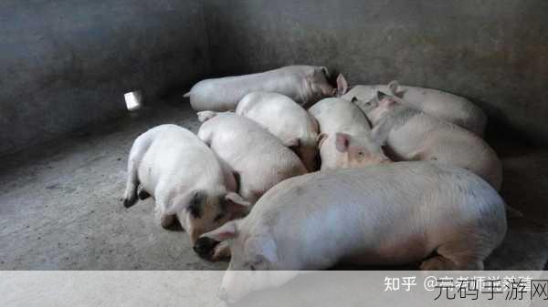 猪和阴曹地府有关系吗:1. “猪的象征与阴曹地府文化的深层联系”