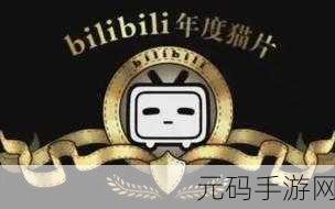 哔哩哔哩污染版入口：1. 深入探讨哔哩哔哩污染版的影响与现状
