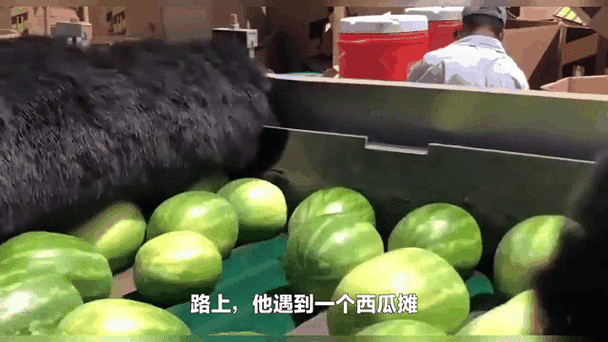 51cggo吃瓜官网:1. "最新吃瓜动态:51cggo官网为你揭秘热门话题