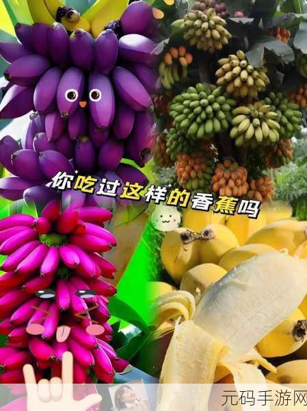 下载香蕉视频:1. "畅享香蕉视频,尽情释放你的娱乐激情!