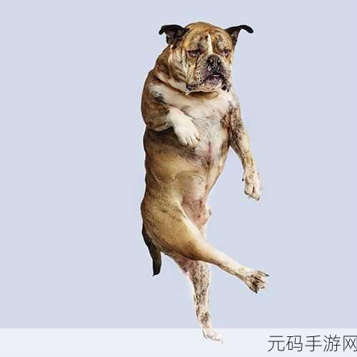 看我跳手游,魔性搞笑新体验,下载热潮席卷而来