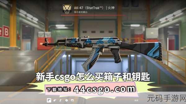 csgo一个箱子一个钥匙多少钱:1. "CSGO箱子与钥匙的价格揭秘:游戏内交易分析