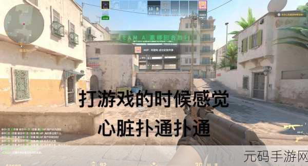 躁少女csgo:1. 《躁少女的CSGO逆袭之路:从新手到高手