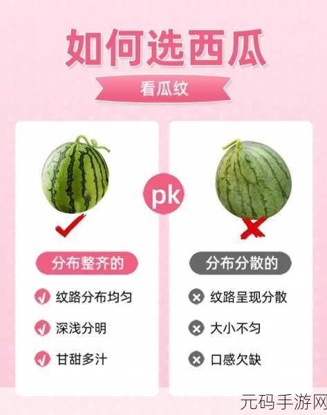 51cg热门吃瓜必吃大瓜:1. 吃瓜界新宠,解密最新热门吃瓜秘籍
