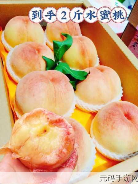 久久久水蜜桃:1. 精品水蜜桃:尽享夏日清爽与甜美