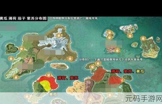 探索创造与魔法,紫苏的神秘藏身之处大揭秘