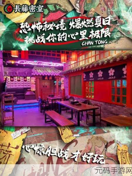 雾英文版震撼发布,沉浸式恐怖冒险,挑战你的心理极限